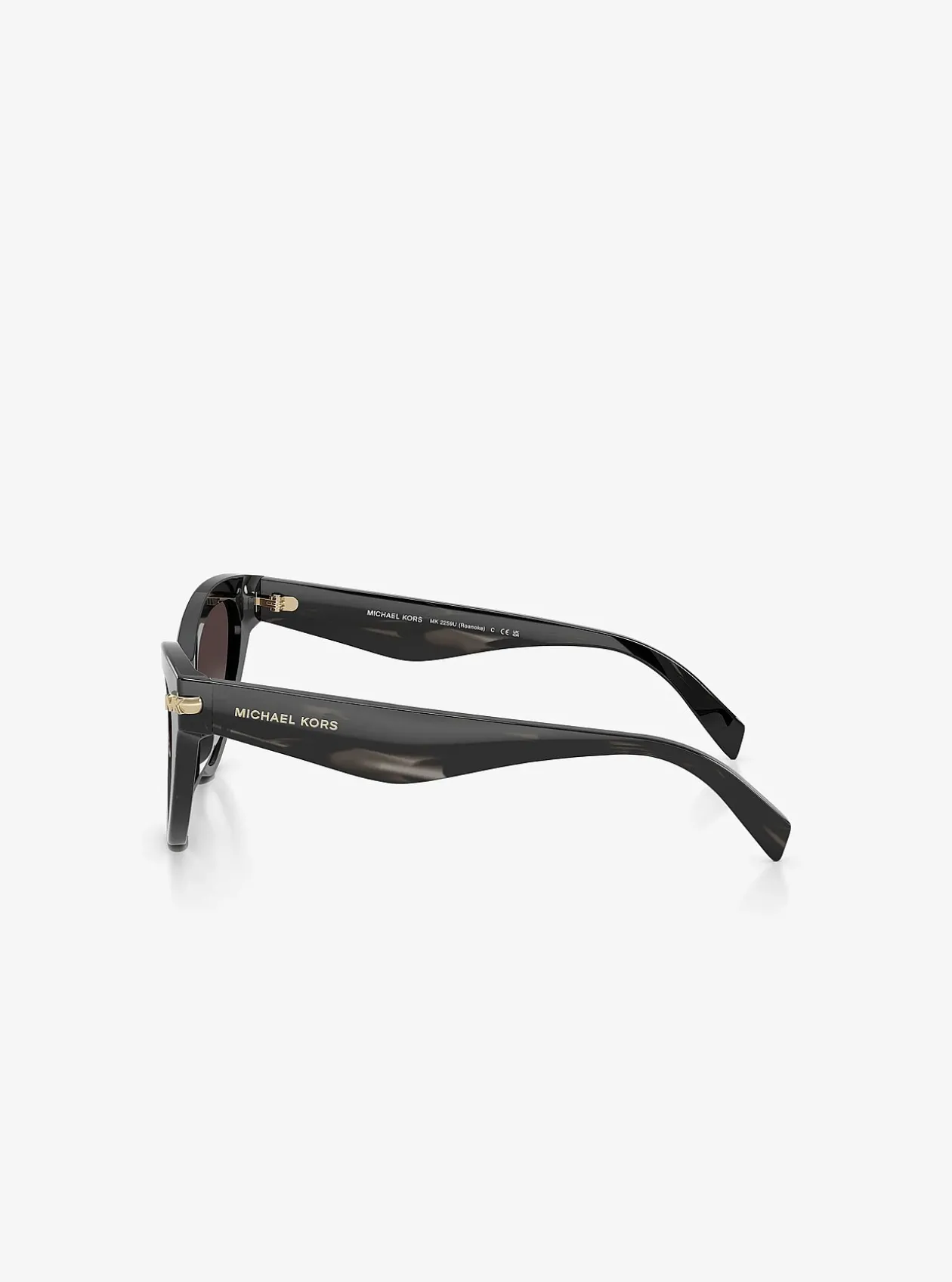 Lunettes de soleil Roanoke